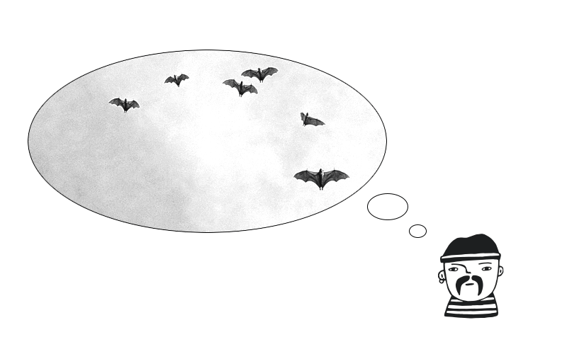 Thinking about vampire bats
