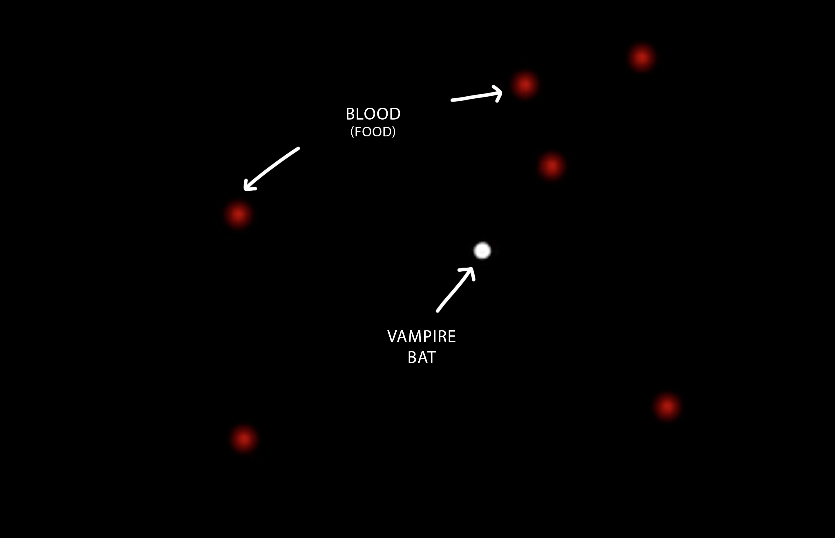 A Natural System showing Campire Bats and Blood